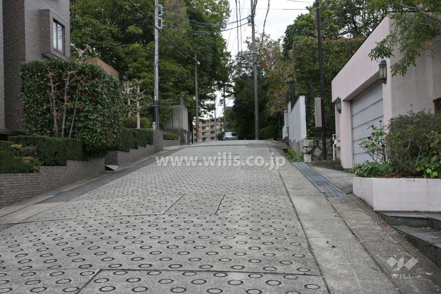 敷地東側の前面道路(南側から)