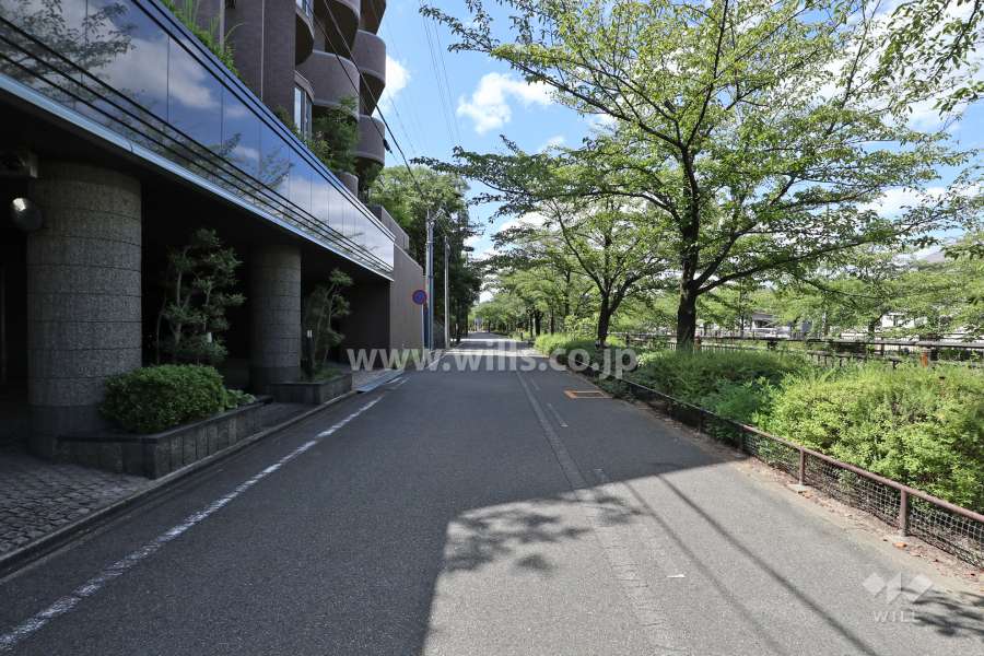 敷地北西側の前面道路（北東側から）