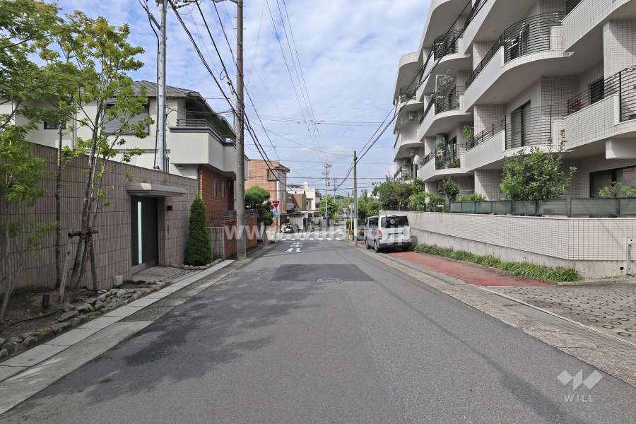 敷地南側の前面道路（東側から）