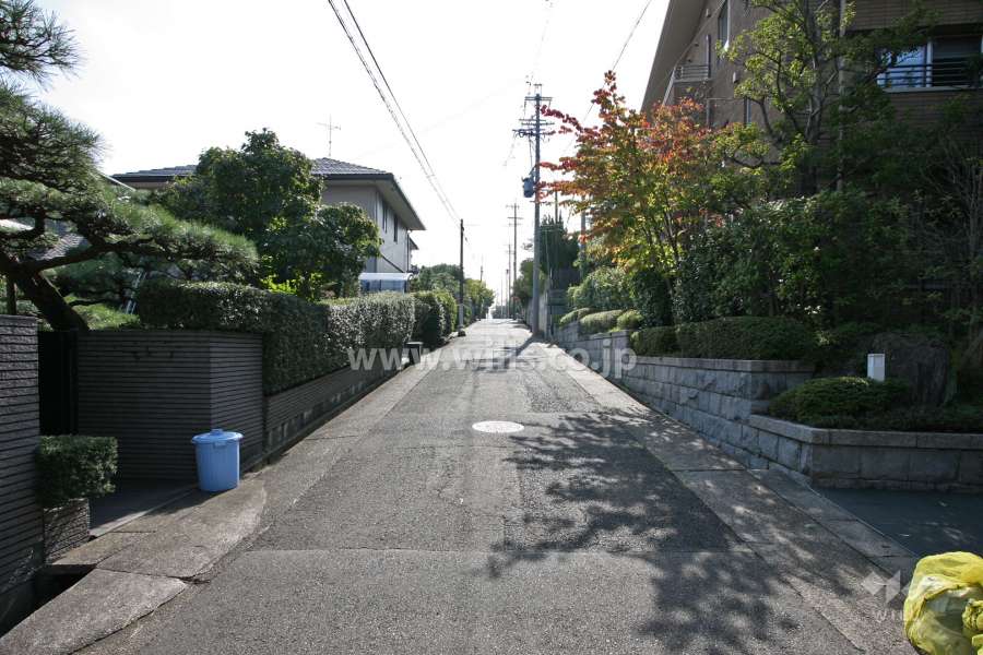 敷地東側の前面道路（北側から）