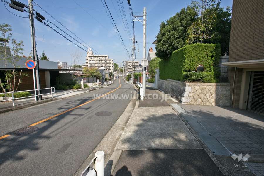 敷地西側の前面道路（南側から）