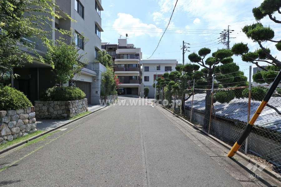 敷地西側の前面道路（北側から）