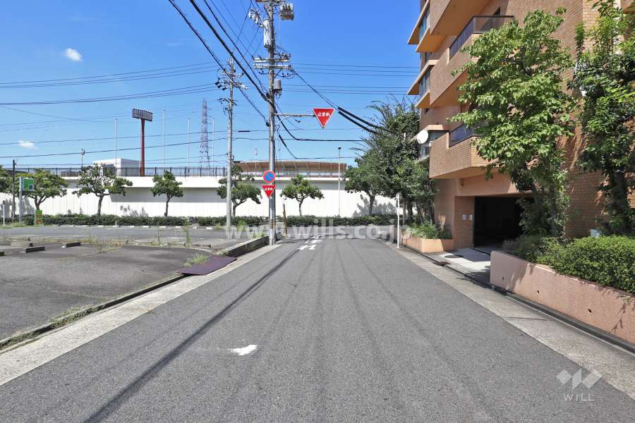 敷地西側の前面道路（北側から）