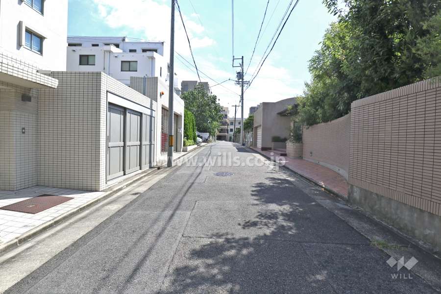 敷地西側の前面道路（北側から）