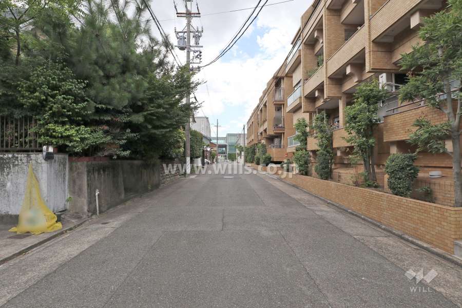 敷地南側の前面道路（東側から）