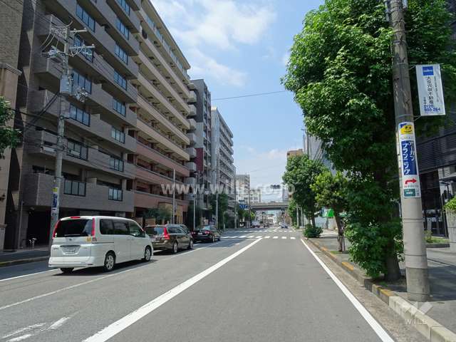 敷地北側の前面道路※通称フラワーロードです。