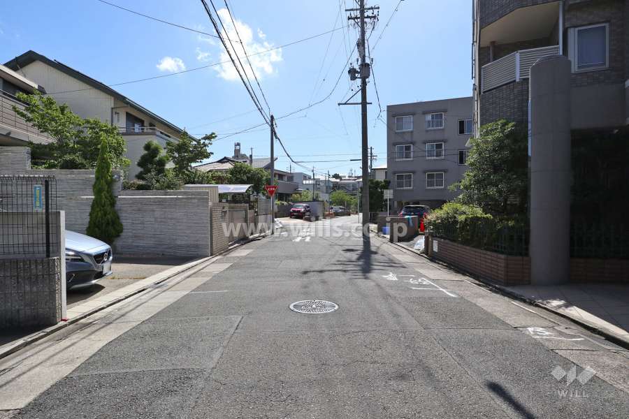 敷地北側の前面道路（西側から）