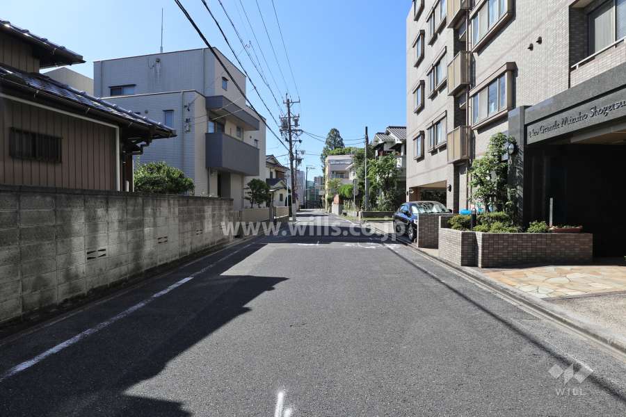 敷地東側の前面道路（北側から）