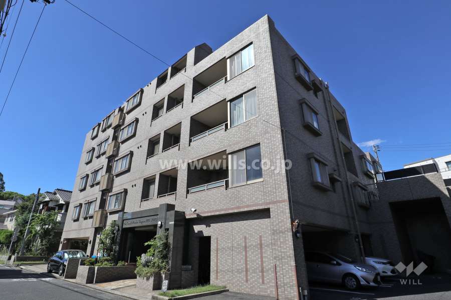 ネオグランデ瑞穂松月ヒューステージの外観（北東側から）