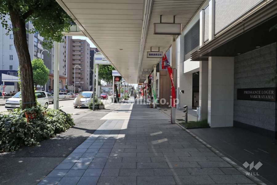 敷地東側の前面道路（北側から）