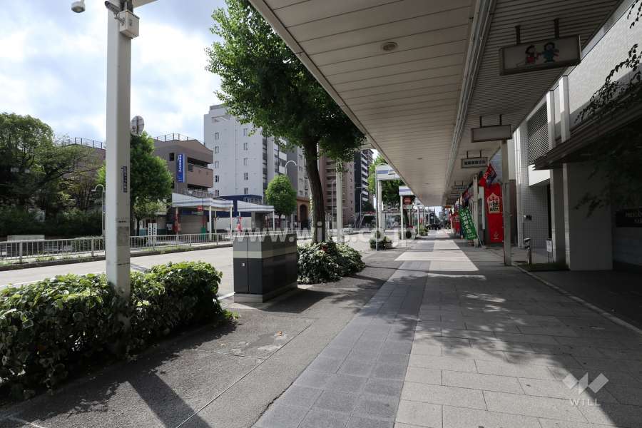 敷地東側の前面道路（北側から）