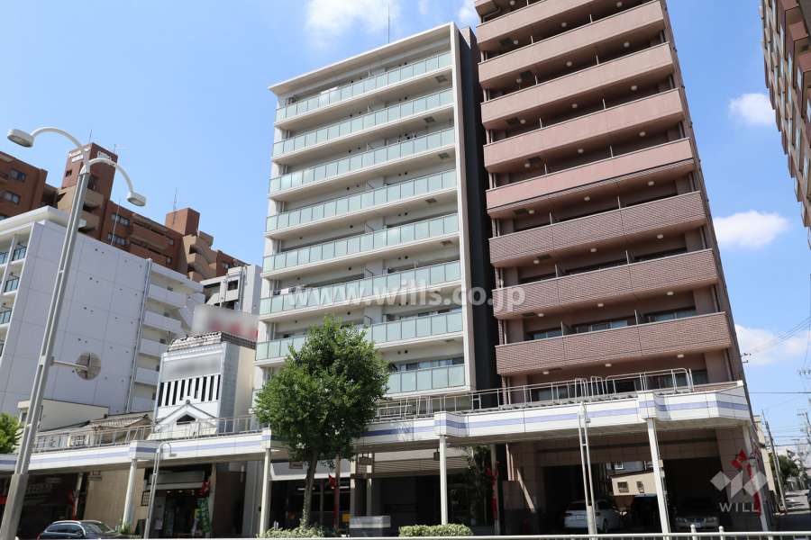 プレサンスロジェ桜山の外観（東側から）