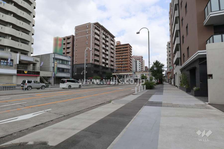 敷地西側の前面道路（南側から）