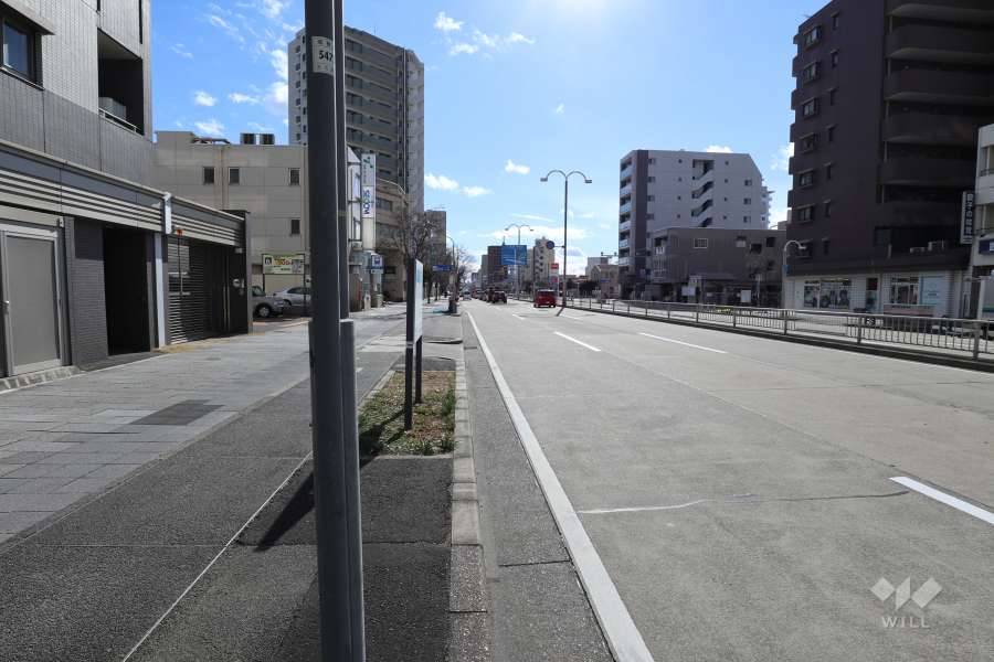 敷地西側の前面道路（北側から）