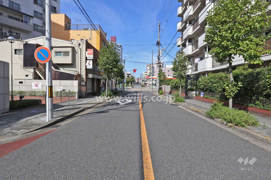 敷地北側の前面道路（東側から）