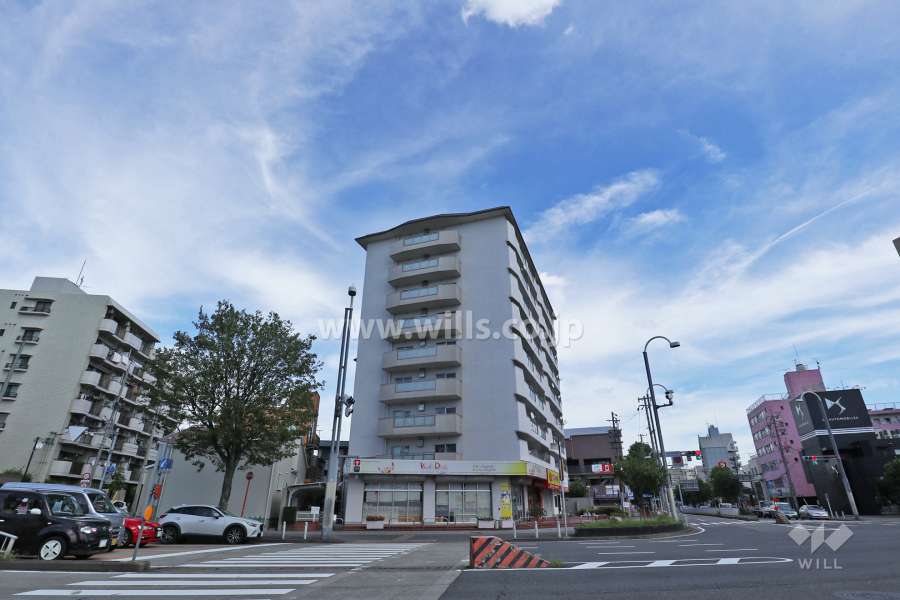 シーアイマンション瑞穂の外観（西側から）