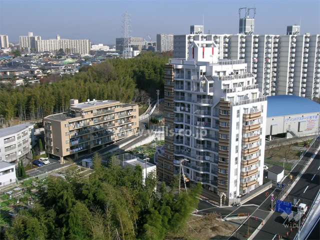 周辺は緑豊かな住環境。