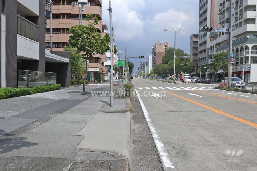 敷地東側の前面道路（南側から）