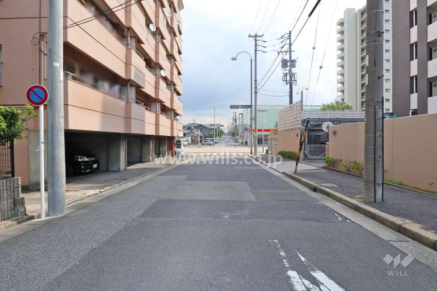 敷地南側の前面道路（西側から）
