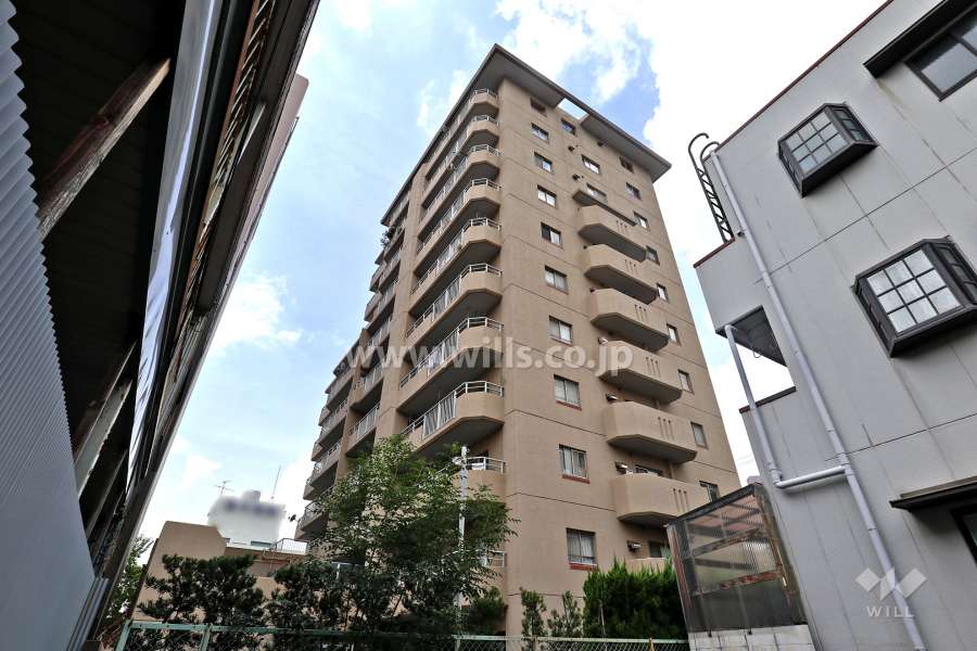 グリーンコーポ瑞穂の外観（東側から）