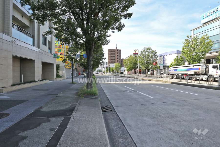 敷地西側の前面道路（北側から）