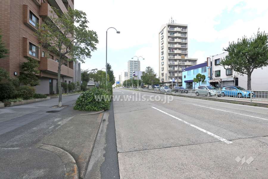 敷地東側の前面道路（南側から）