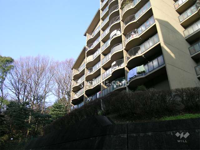 敷地の西側は雑木林で緑豊か