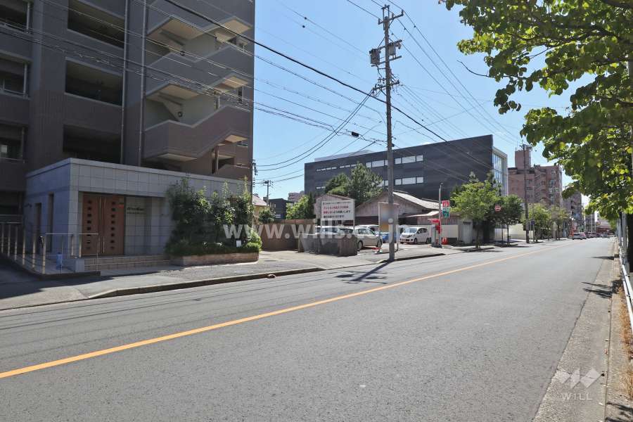 敷地北側の前面道路（東側から）