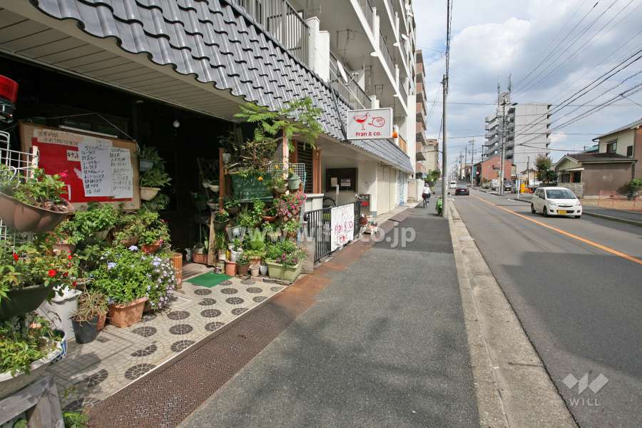 敷地南側の前面道路（西側から）