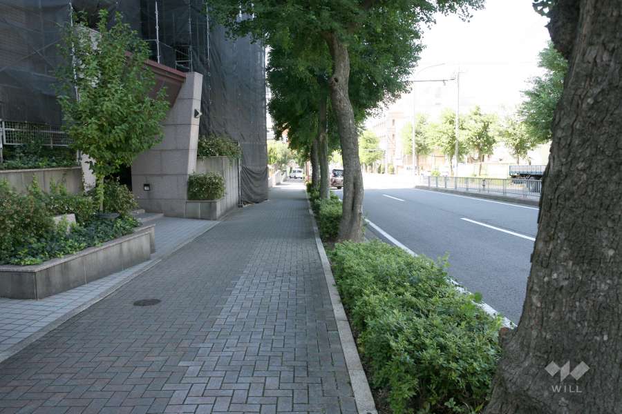 敷地前面道路