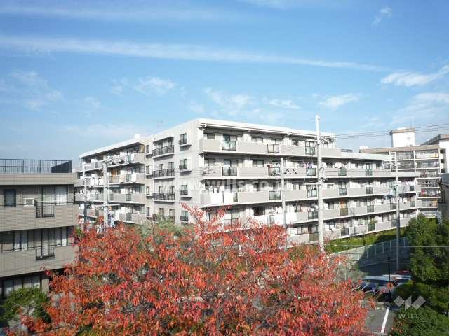 周辺はマンションと一戸建てが混在する静かな住宅地。敷地南西側には道を挟んで公園があります。