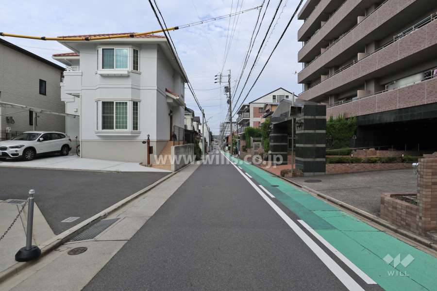 敷地南側の前面道路（東側から）