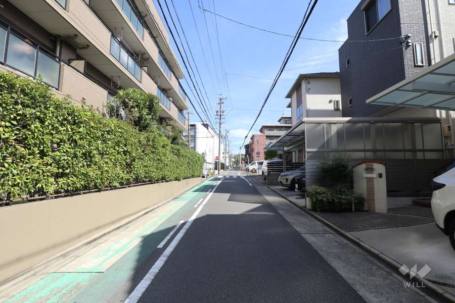 敷地南側の前面道路（西側から）