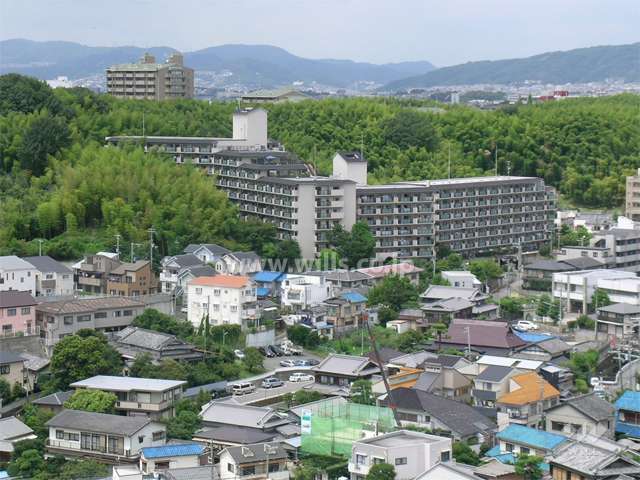 周辺は竹林と一戸建てが中心に立ち並ぶ住宅地