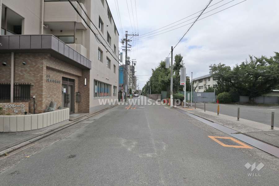 敷地西側の前面道路（北側から）