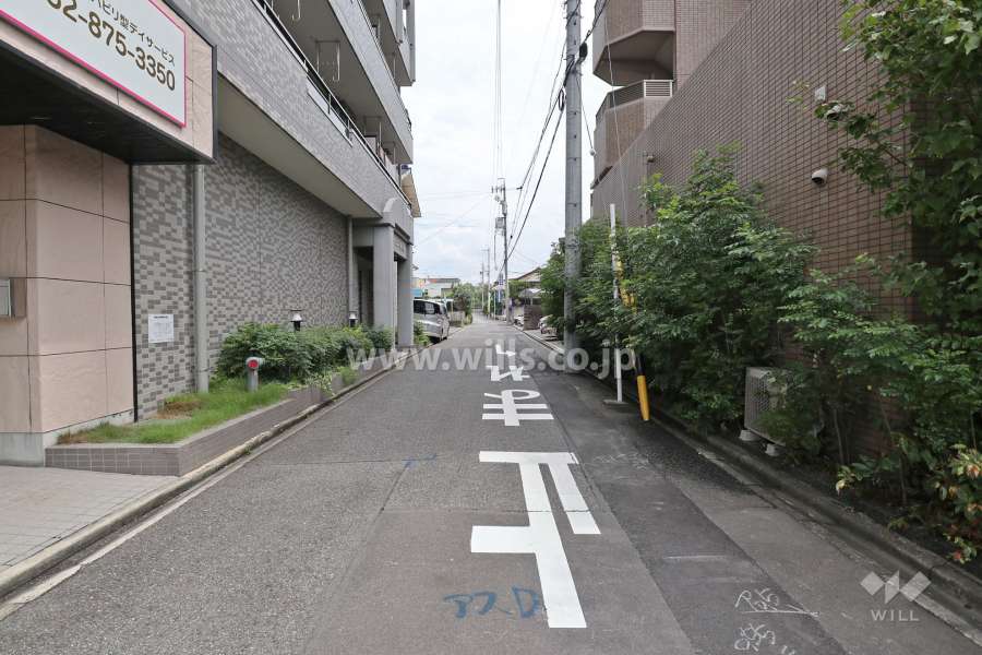 敷地北側の前面道路（西側から）
