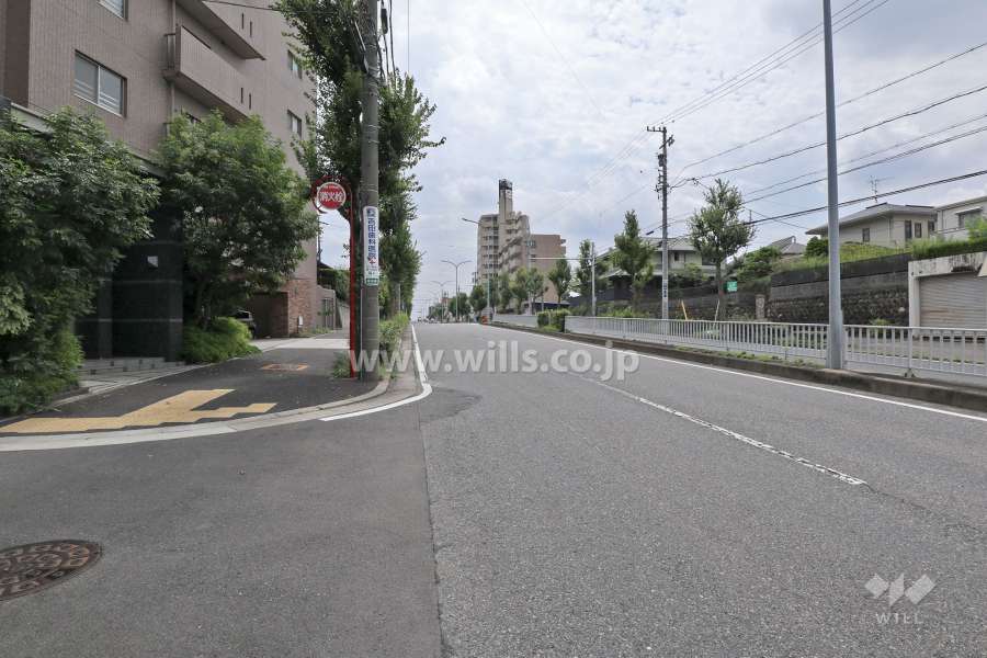 敷地西側の前面道路（北側から）