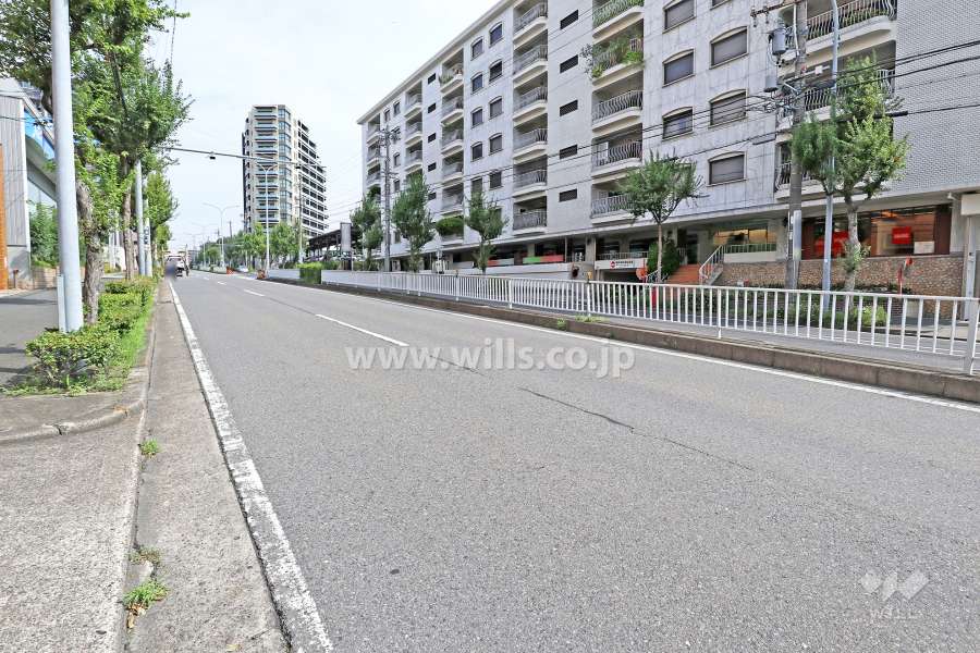 敷地西側の前面道路（南側から）