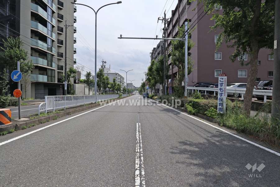 敷地東側の前面道路（北側から）