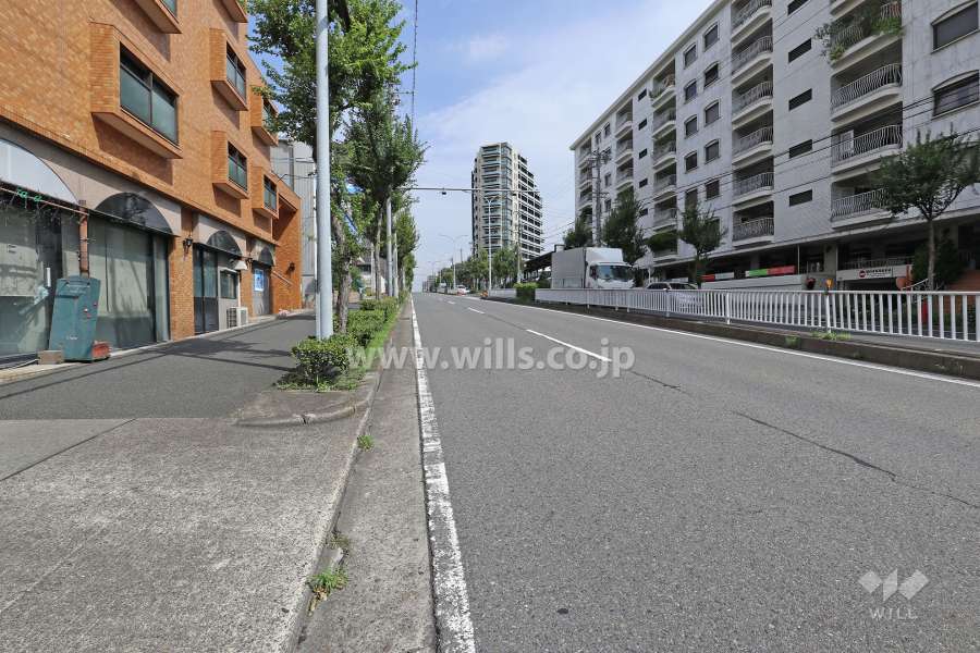 敷地東側の前面道路（南側から）