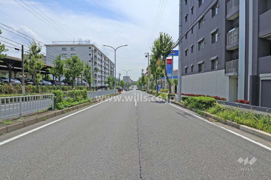 敷地東側の前面道路（北側から）