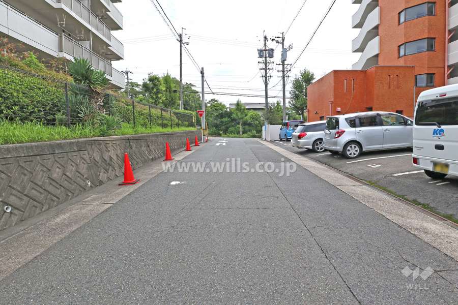 敷地北側の前面道路（西側から）