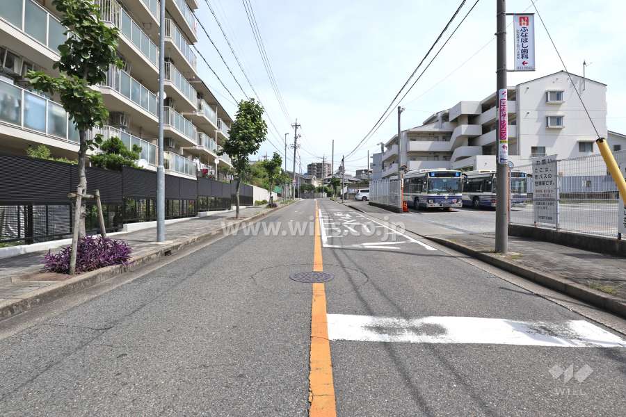 敷地南側の前面道路（西側から）