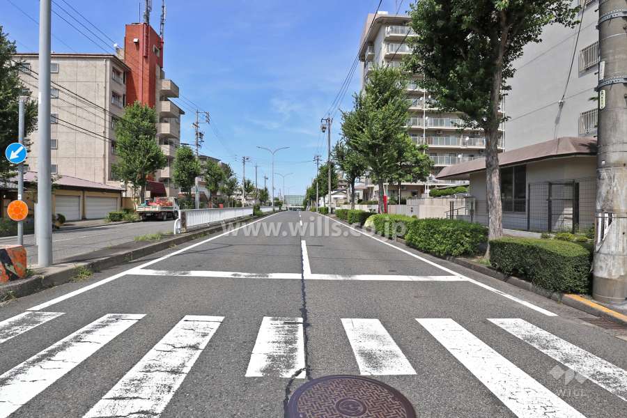 敷地西側の前面道路（南側から）