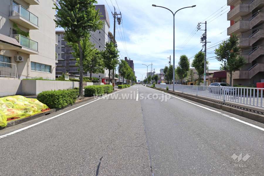 敷地西側の前面道路（北側から）