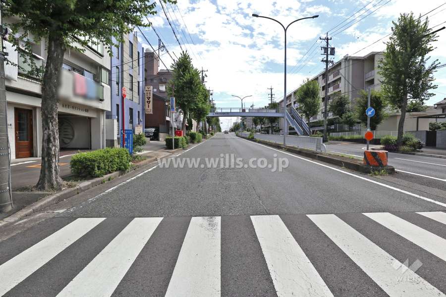 敷地西側の前面道路（北側から）