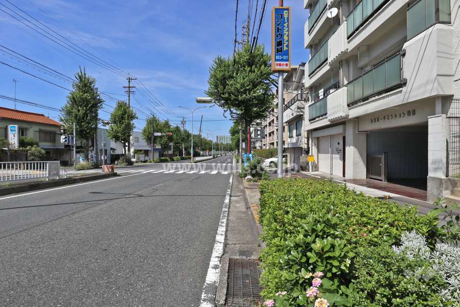 敷地西側の前面道路（南側から）