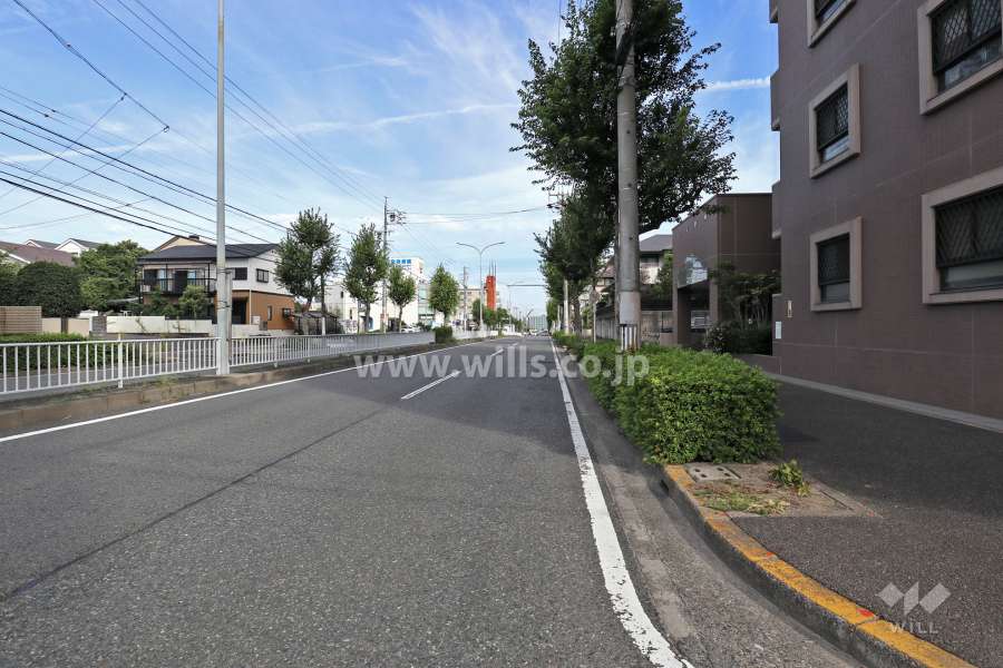 敷地西側の前面道路（南側から）