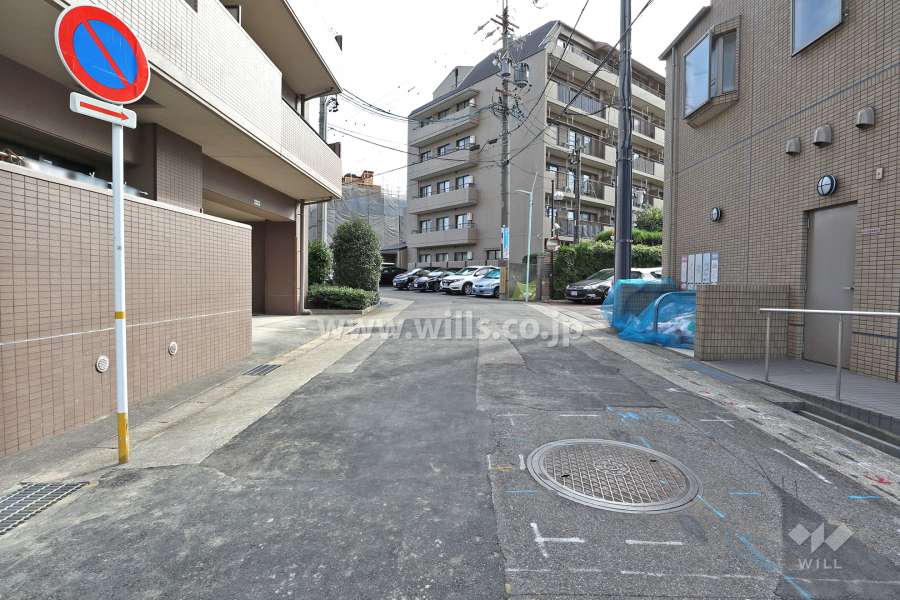 敷地南側の前面道路（西側から）