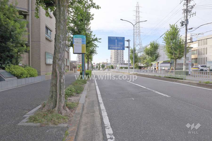 敷地西側の前面道路（北側から）